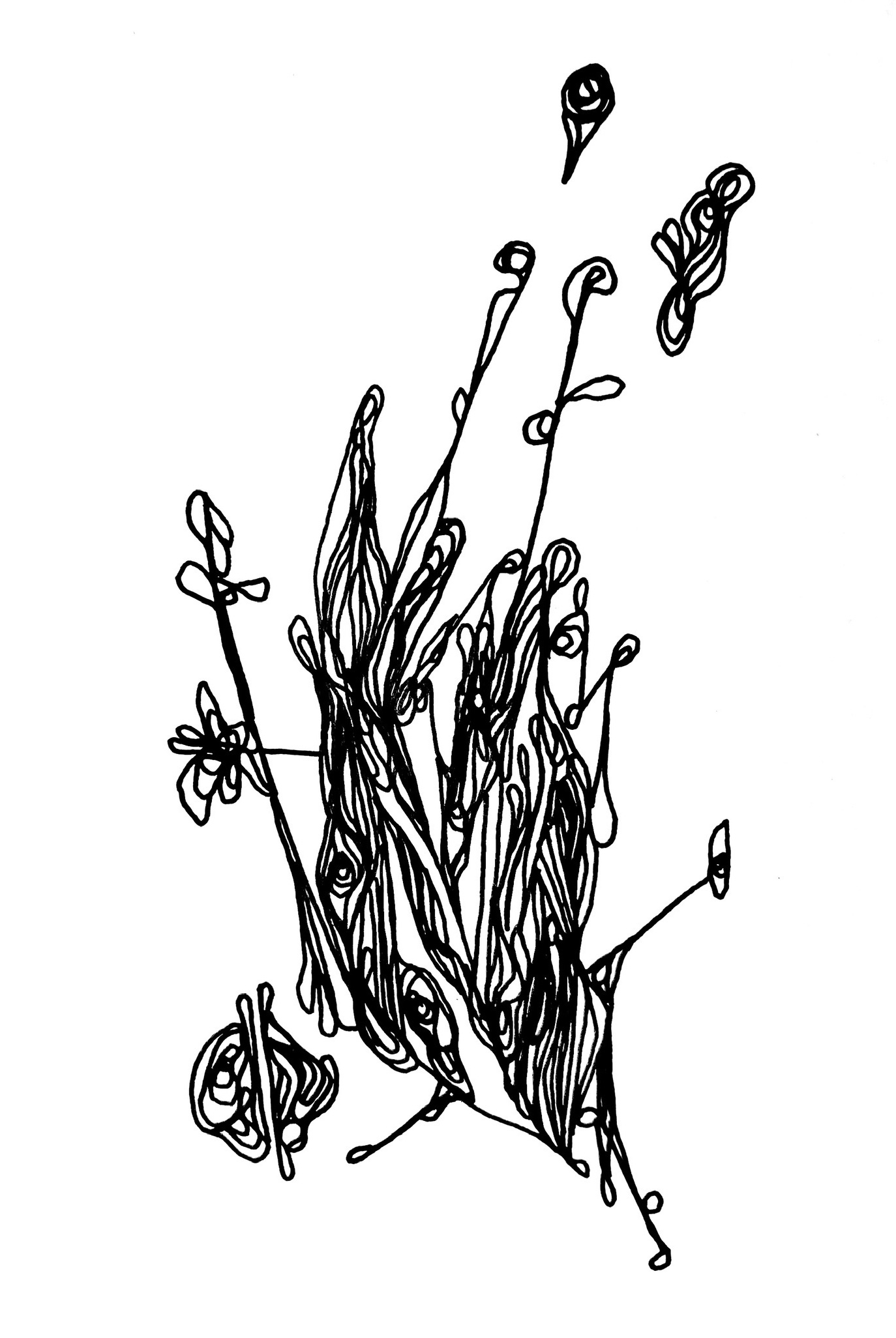 06_12_24